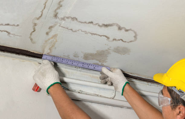 Affordable Water Damage Repair solutions in Athens, WV